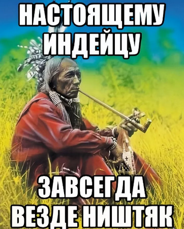 Почему у индейцев обычно не растут бороды и усы?