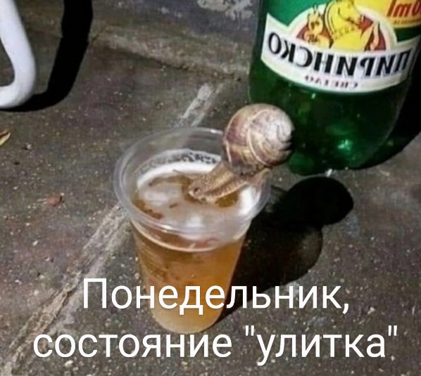 Картинки и мемы для настроения - 181