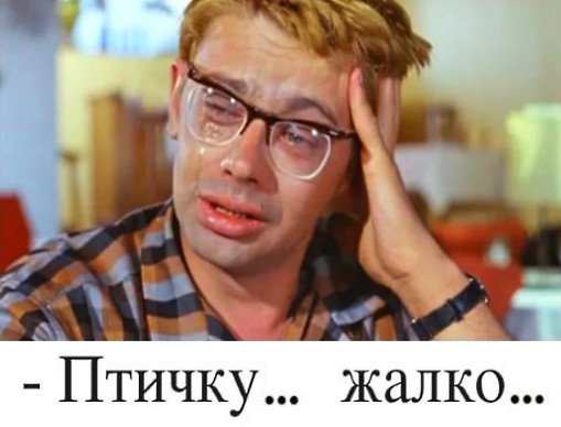Птичку жалко ...