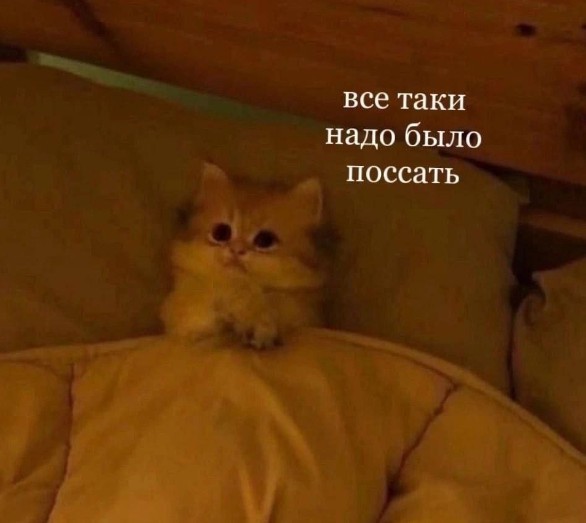 Всего понемногу. От 26.01.24