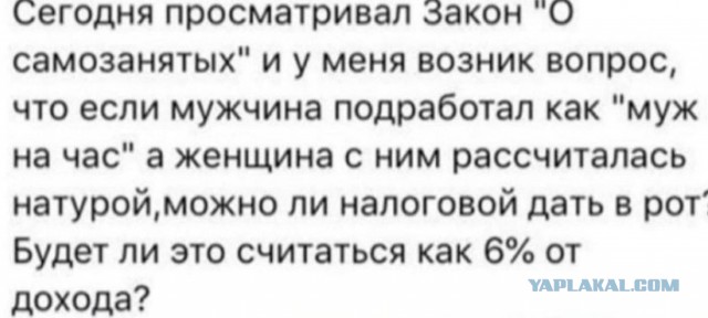 Всего понемногу. От 29.01.24