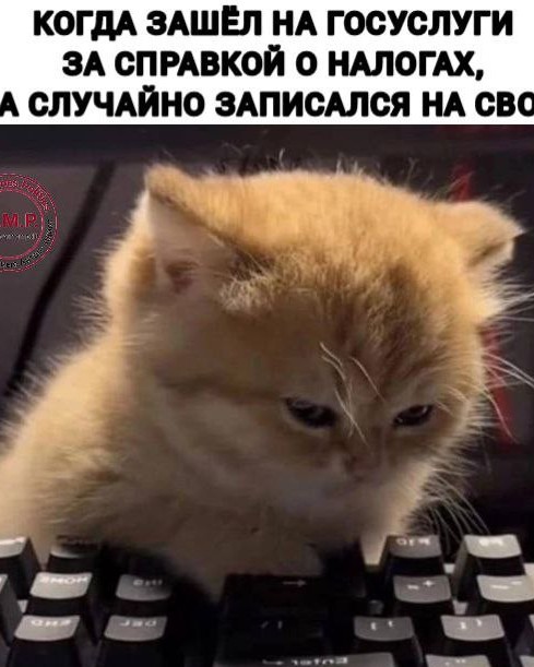 Никакие картинки