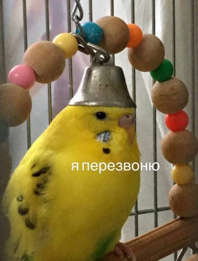 Никакие картинки и тексты