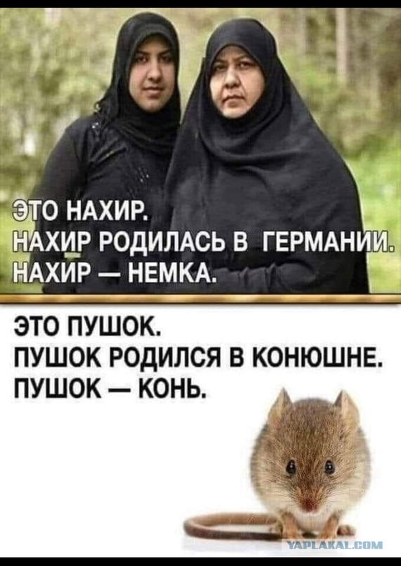 Добрые вести спешу вам показать