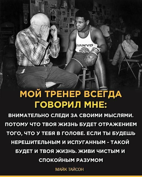 Прикольные и просто красивые картинки 27.12.2024
