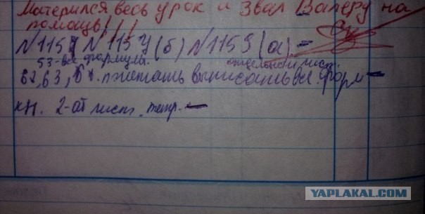Забавные школьные дневники
