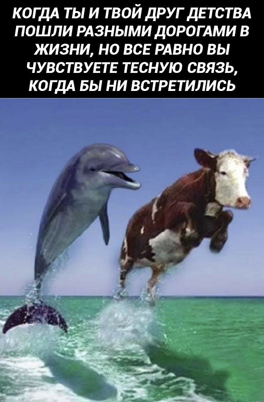 Картинки разные с надписями и без
