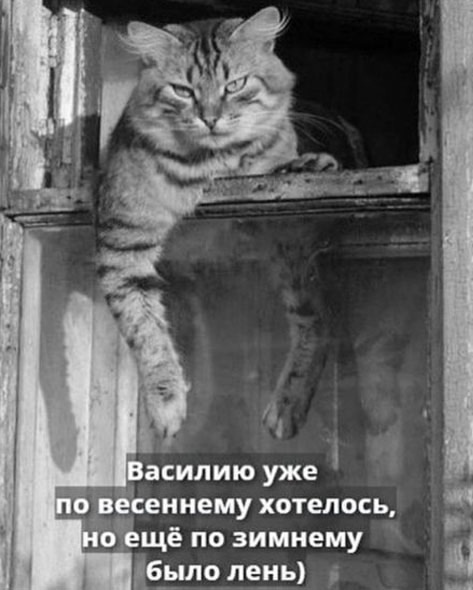 Так себе картинки 01.03.25