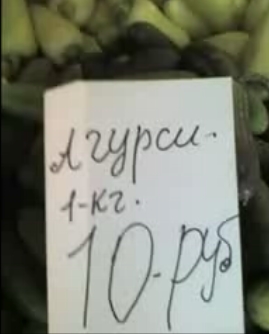 Не сдал экзамен по русскому