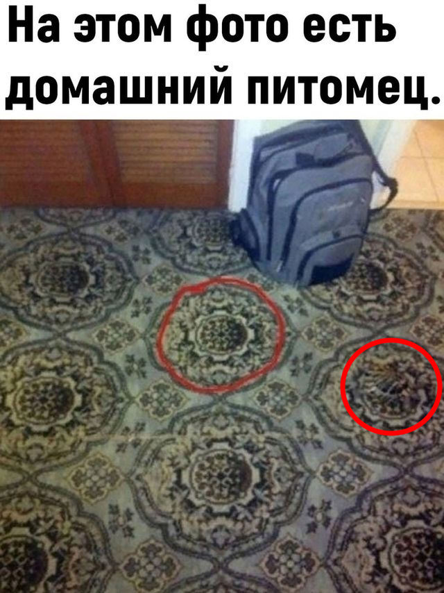 Так себе картинки 14.05.25