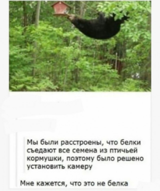 Завалялось тут случайно немного забавных картинок