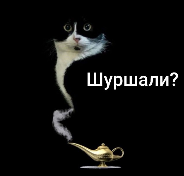 К котовторнику: подборка картинок-баянов с котиками и про котиков. Выпуск 16.