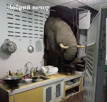 Веселое настроение в картинках (15.08.2025)