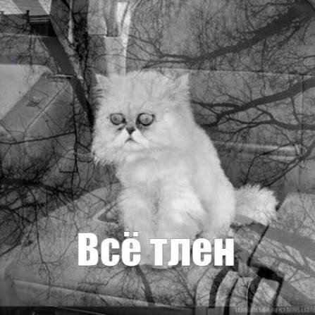 Сервизы, в сервантах, которыми так никто и не воспользовался