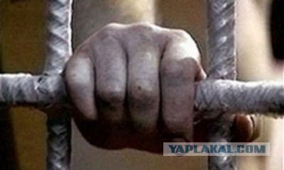 Лёша тормози на...!