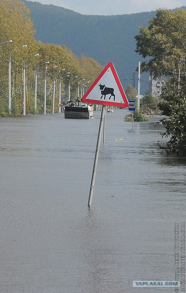 Всё, вода уходит! А вместе с нею печаль, разруха..