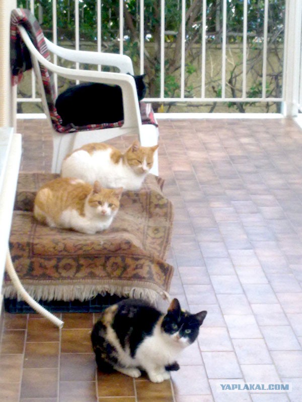 В ночь с 28 февраля на 1 марта. Без предупреждения