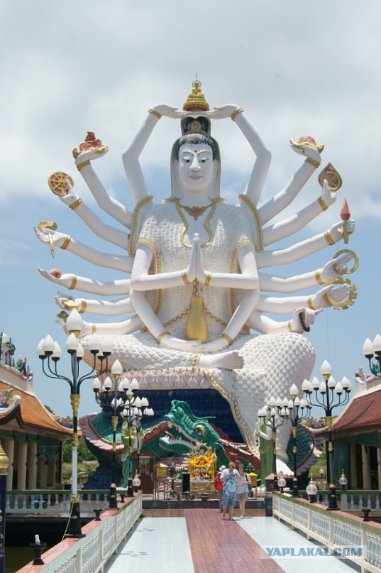 Шелковые дети под охраной гаруд