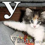 Выступление пьяного Кличко!
