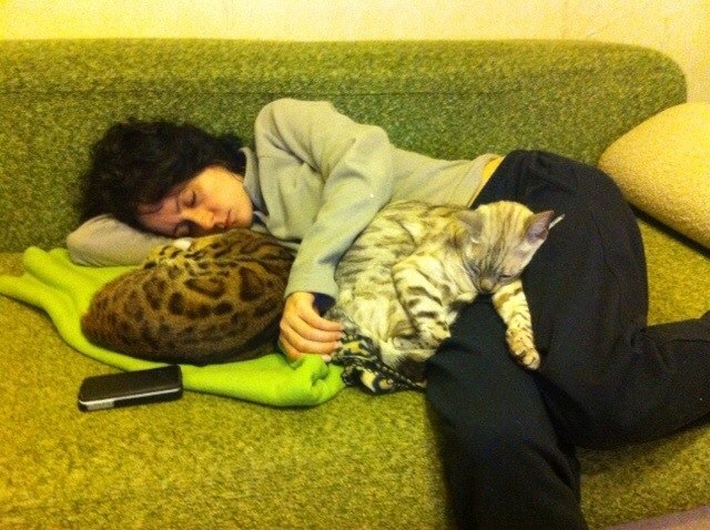 Котовторник  28.01.14