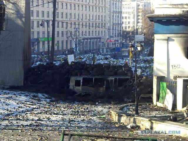 "Георгиевские " ленточки против флагов УПА