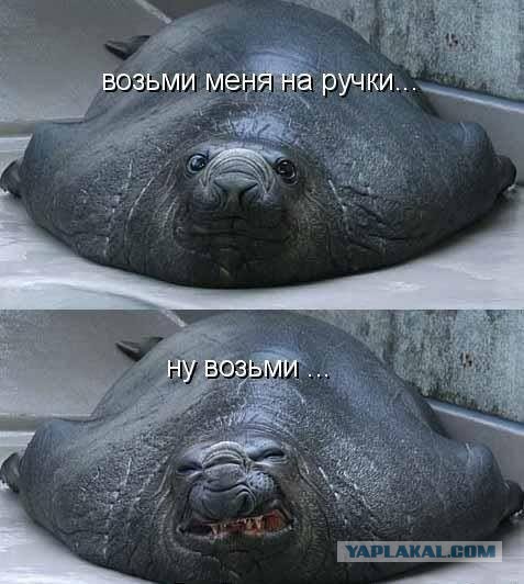 Капля позитива