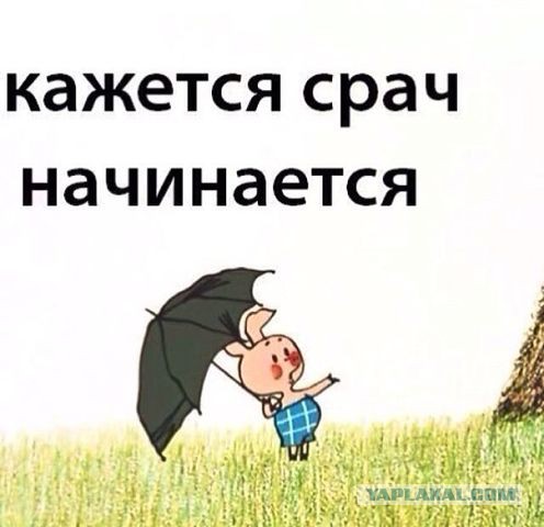 Импровизация, бачата