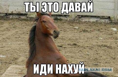Переводчик гугл врет о Сталине и Гитлере