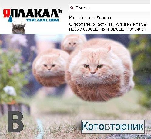 Азбука ЯПа! Моя, Грабельная!