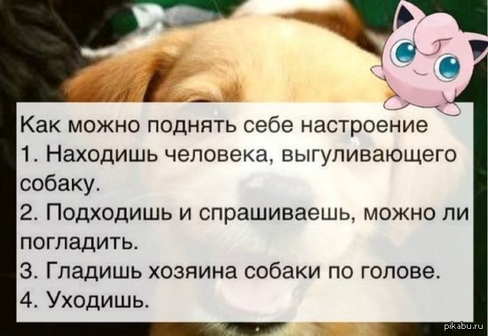 Наказание нерадивых собачников