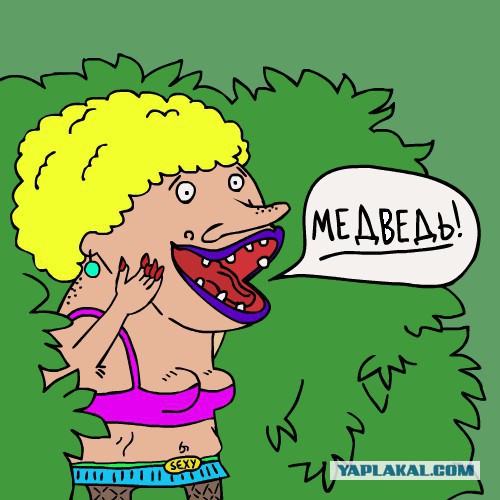 Набор ЯПовца!