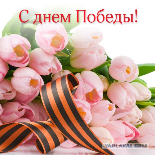 «Графоманский рай»