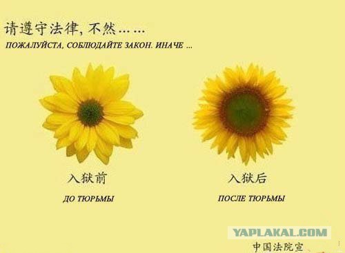 Традиционная пятничная подборка ВК и не только