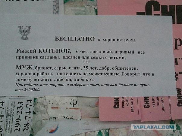 Грубовато, но верно!