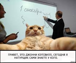 Известные котомемы.