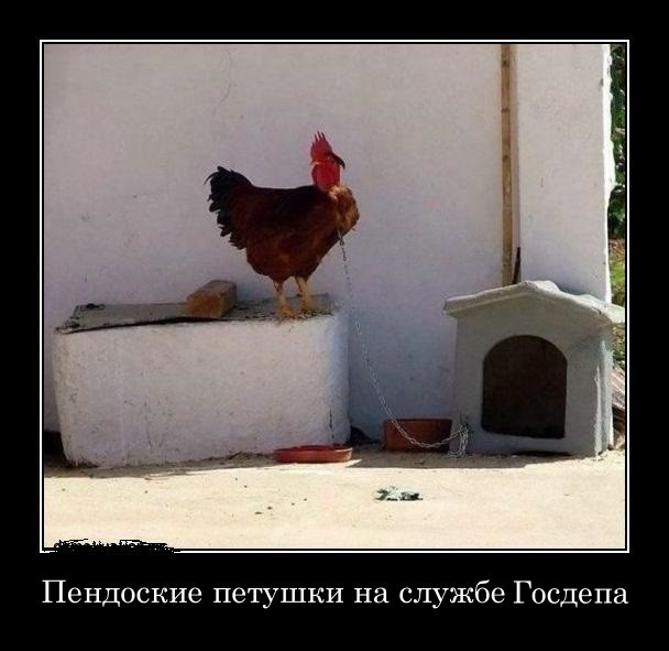 Молчание грантоедов