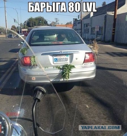 Не иди никуда - отдохни