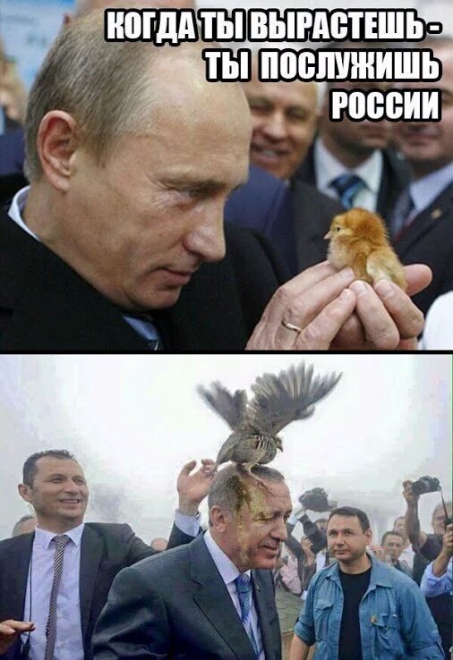 Ёлкин - про Чайку и Путина