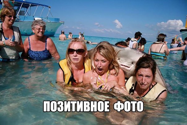 Забавные картинки из Сети