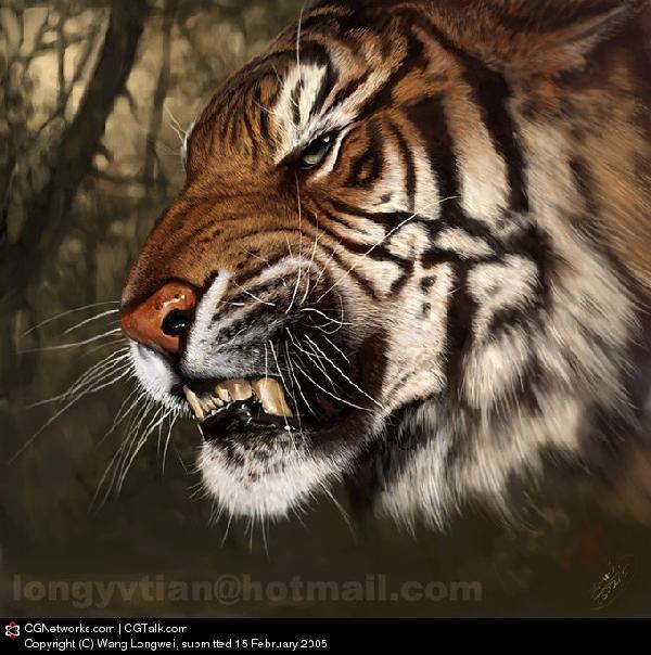 ДИКИЕ КОШКИ