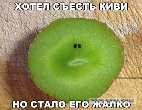 Картинки из ваших этих итернетов...