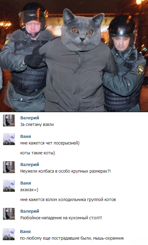 Подборка картинок 04.03.16