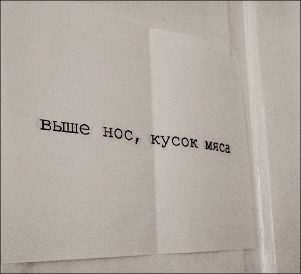 Забавные картинки из Сети