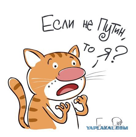 Провокация на Путина ожидается сегодня в 9 вечера