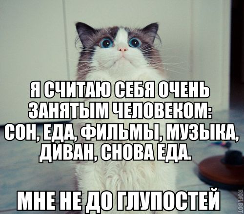 Фотоподборка (18.04.16)