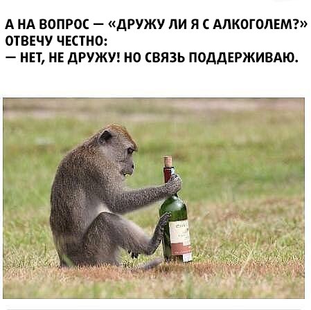 Картинки для поднятия настроения - 4
