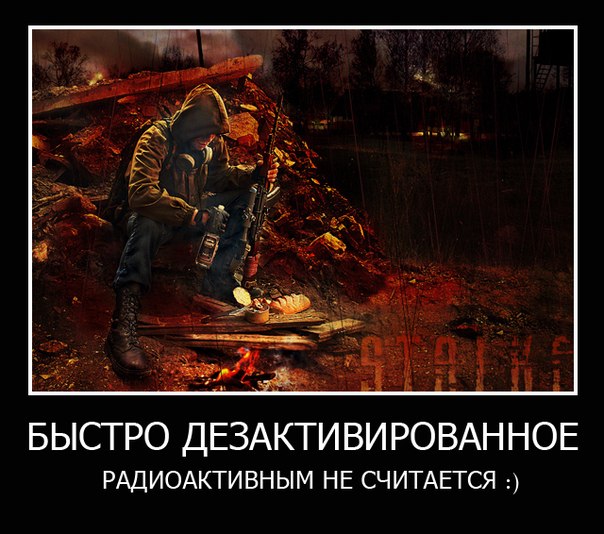 Фанатам игры С.Т.А.Л.К.Е.Р посвящается