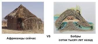 Шуточки от весёлого повара