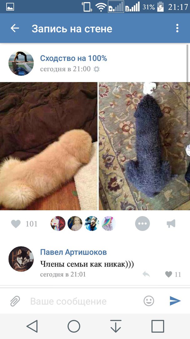 Ужасы и приколы из соцсетей 18+