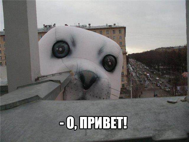 Картинок и гифок пост